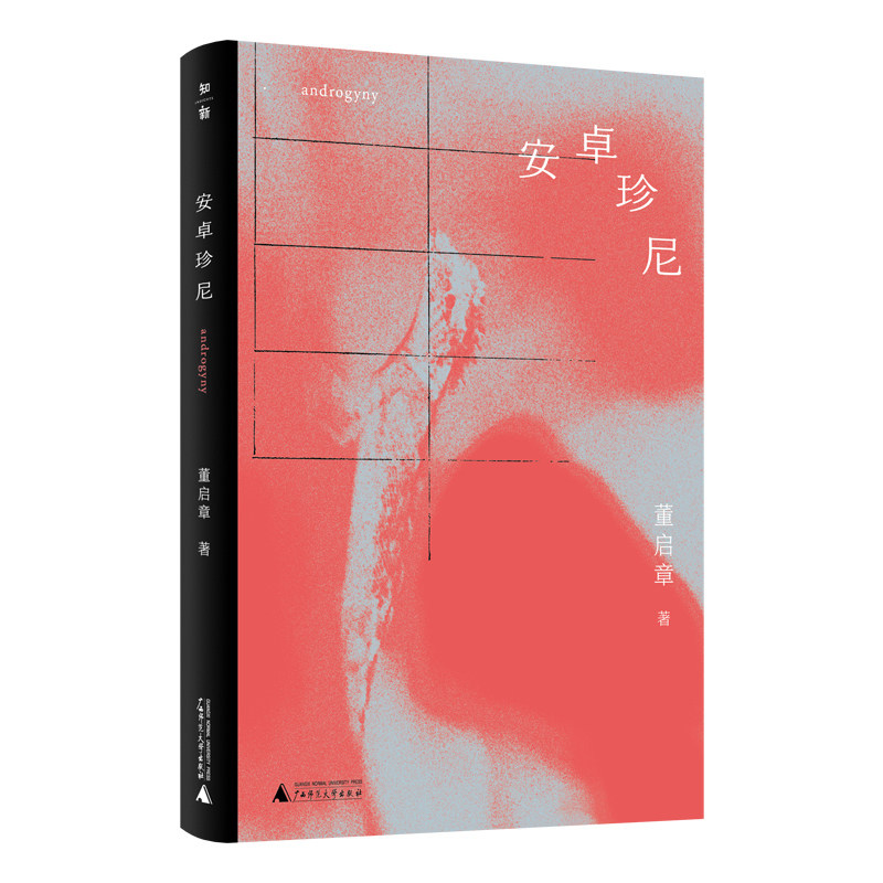 当当网 安卓珍尼 香港小说家董启章成名作，独家授权简体中文版 现代文学小说随笔正版畅销故事书籍 广西师范大学出版社