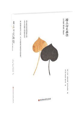 当当网 踏上心灵的幽径(继《西藏生死书》之后又一开启智慧与慈悲的灵性巨著) 康菲尔德 深圳报业集团出版社 正版书籍