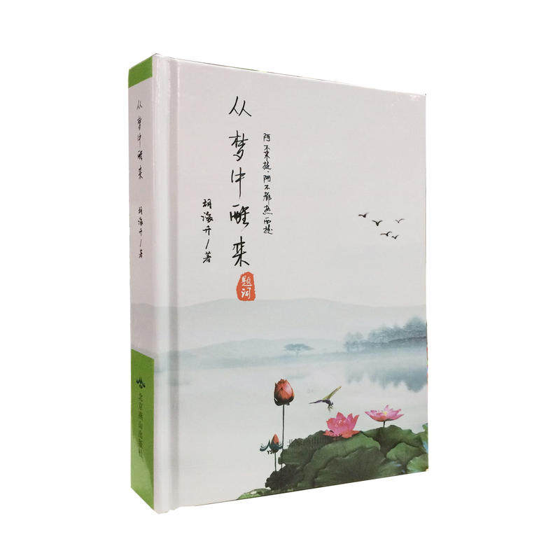 从梦中醒来(精装)