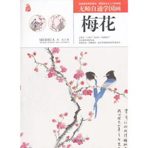 无师自通学国画——梅花