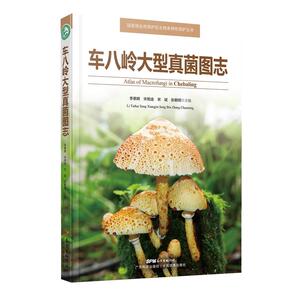 车八岭大型真菌图志（自然保护区生物多样性保护丛书）（菌物学家李泰辉博士精心之作）