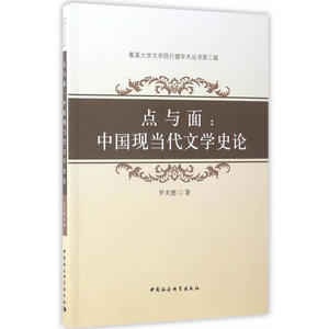 点与面：中国现当代文学史论