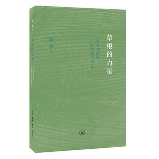 田野调查与研究 书籍 力量 正版 生活读书新知三联书店 是一部 力量—台州戏班 傅谨先生新著 傅谨 草根 当当网