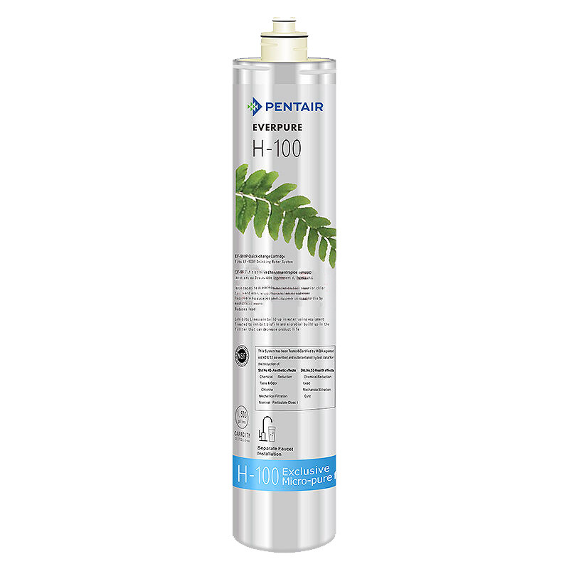 美国爱惠浦 H100 净水器滤芯 H-100 净水机主滤芯 后置滤芯