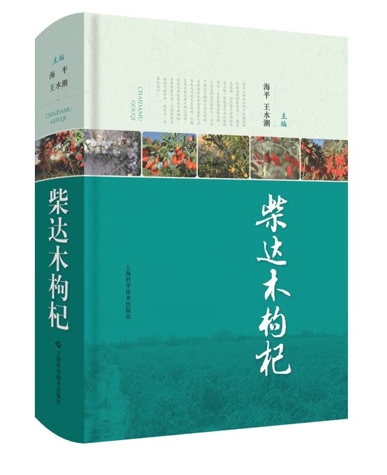 柴达木枸杞