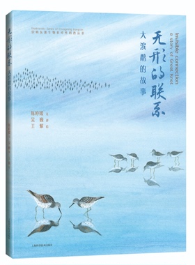 无形的联系--大滨鹬的故事(崇明东滩生物多样性科普丛书)