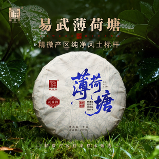 福海茶厂2025年新品薄荷塘普洱生茶易武春茶云南茶叶送礼