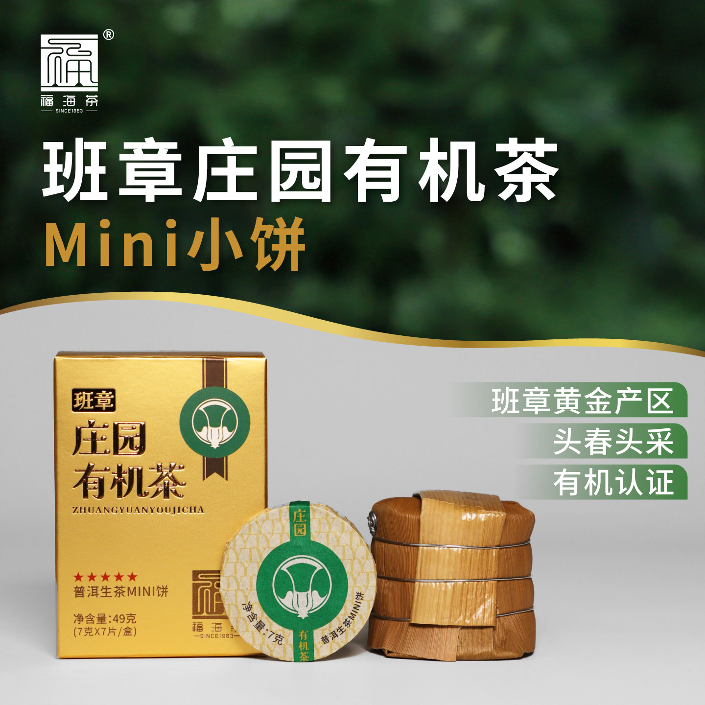 【达人好物体验】福海茶厂班章庄园有机茶迷你小饼
