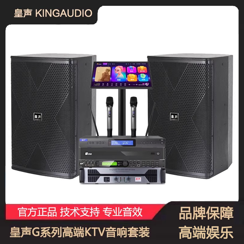 KingAudio/皇声 G10一拖二家庭KTV清吧舞台KTV包房10寸专业音箱