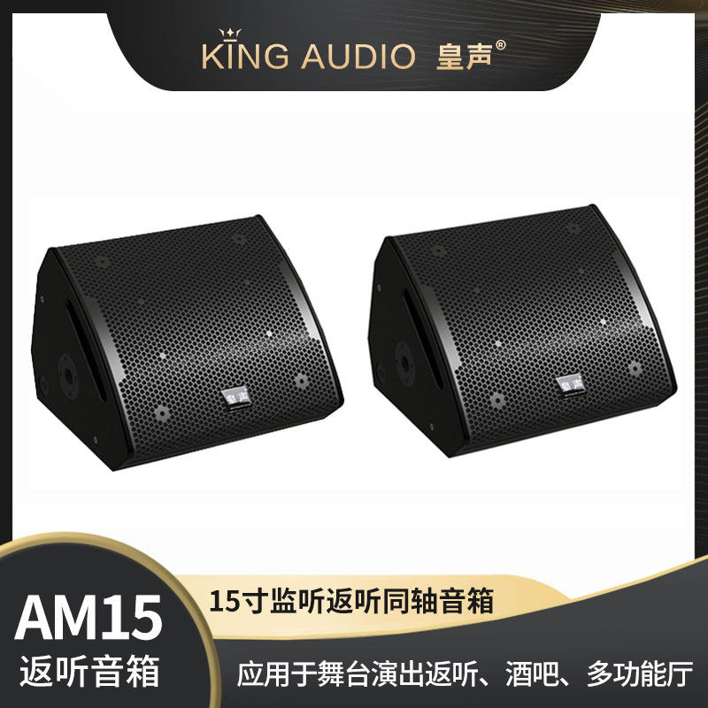 KingAudio/皇声 AM15 舞台演出酒吧台唇监听反听同轴15寸返听音箱