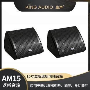 AM15 舞台演出酒吧台唇监听反听同轴15寸返听音箱 皇声 KingAudio