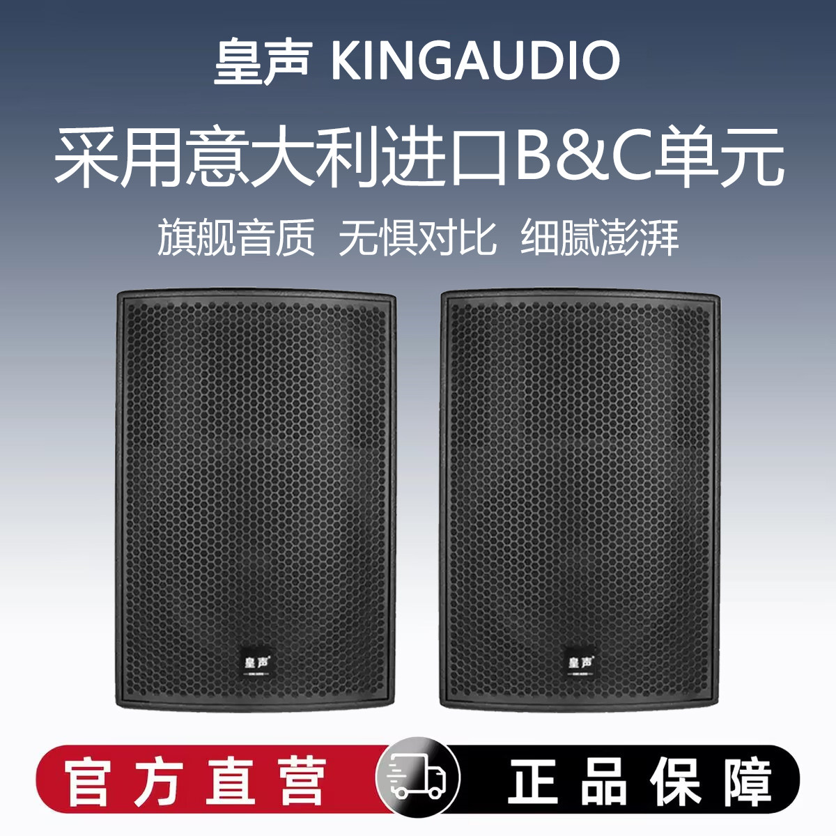 KingAudio/皇声BC15音箱(进口喇叭) 豪华KTV酒吧舞台演出音箱一对