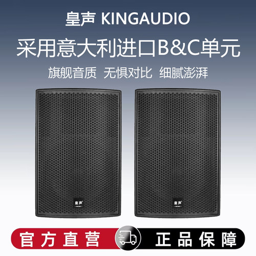 KingAudio/皇声BC15音箱(进口喇叭) 豪华KTV酒吧舞台演出音箱一对