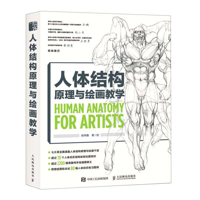 正版现货：人体结构原理与绘画教学9787115566898人民邮电出版社