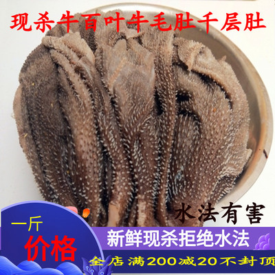 牛肚新鲜牛百叶千层肚火锅食材