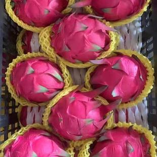 五斤装正宗【金都一号】广西红心火龙果现摘现发新鲜到家口感很甜