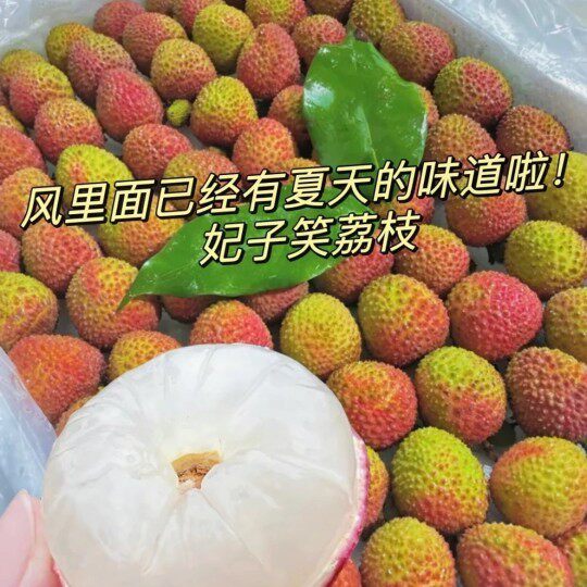 【妃子笑荔枝】现摘现发新鲜正当季时令水果京东/顺丰包邮夏季果