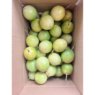正宗【钦蜜9号黄金百香果】现摘现发鲜甜爽口微微酸水果茶原材料