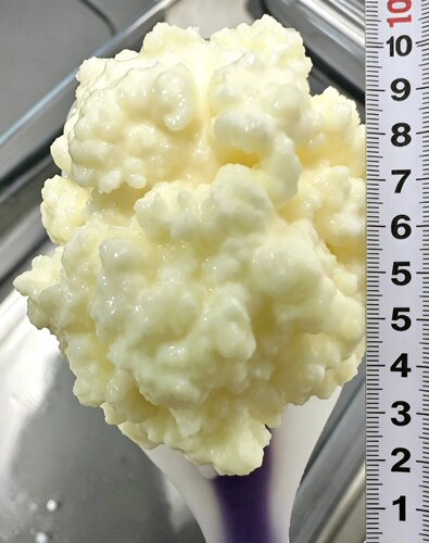 8款开菲尔菌,永久使用益生菌高