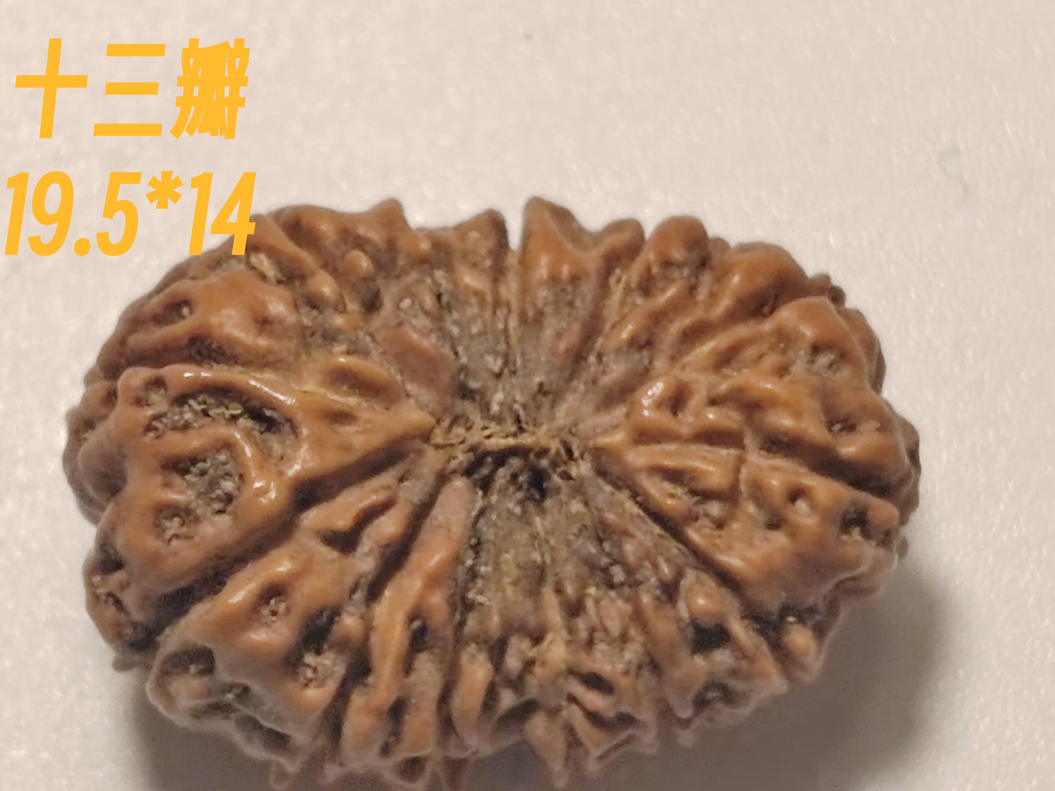 小金刚手串念珠作背云单籽十三13瓣天然吊坠