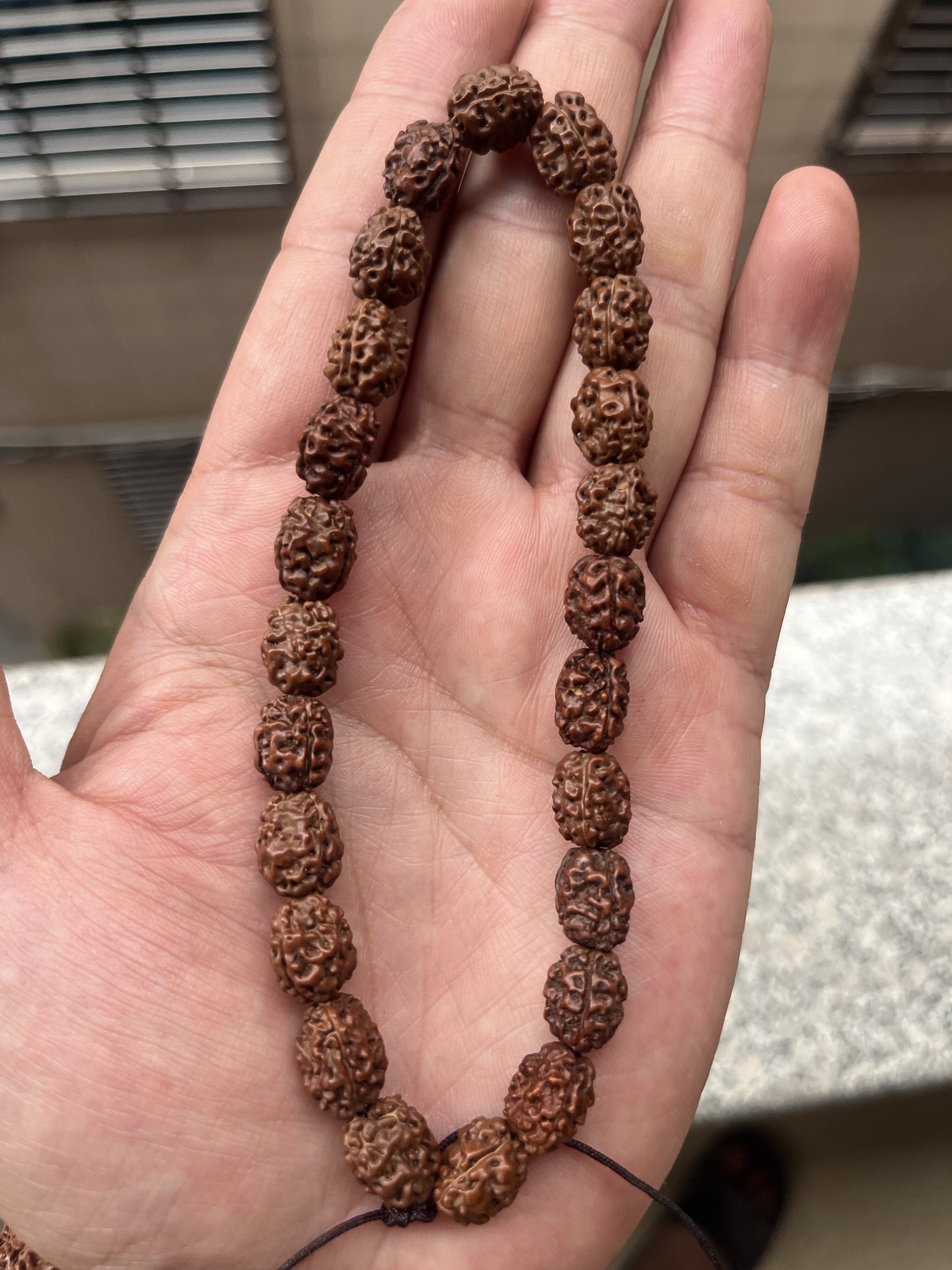 三瓣小金刚老树籽智慧能量男女款手串手持