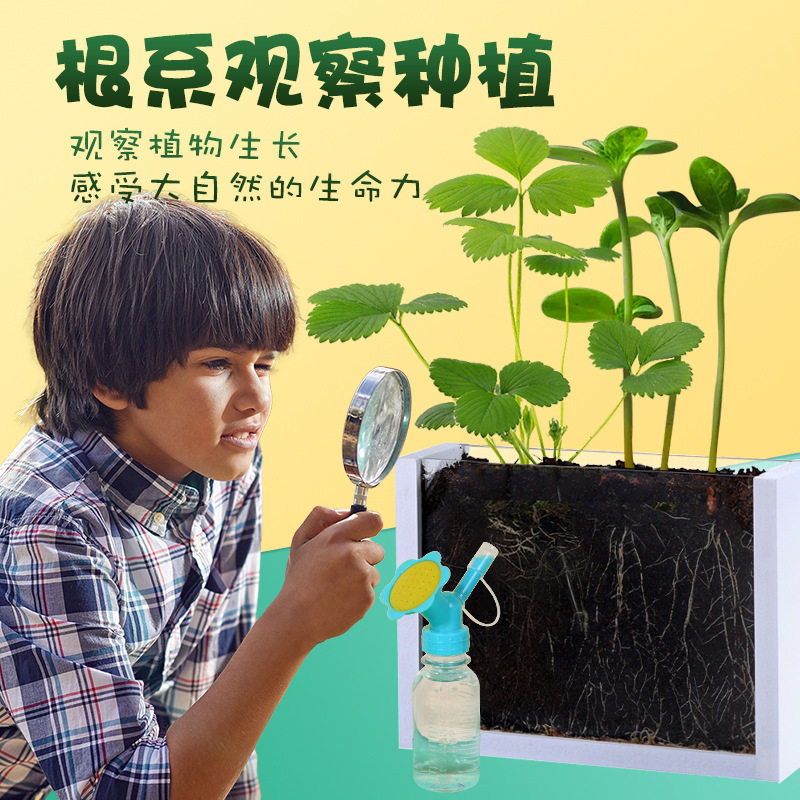 儿童植物发芽根系diy观察盒开心农场幼儿园小学手工种植作业盆栽