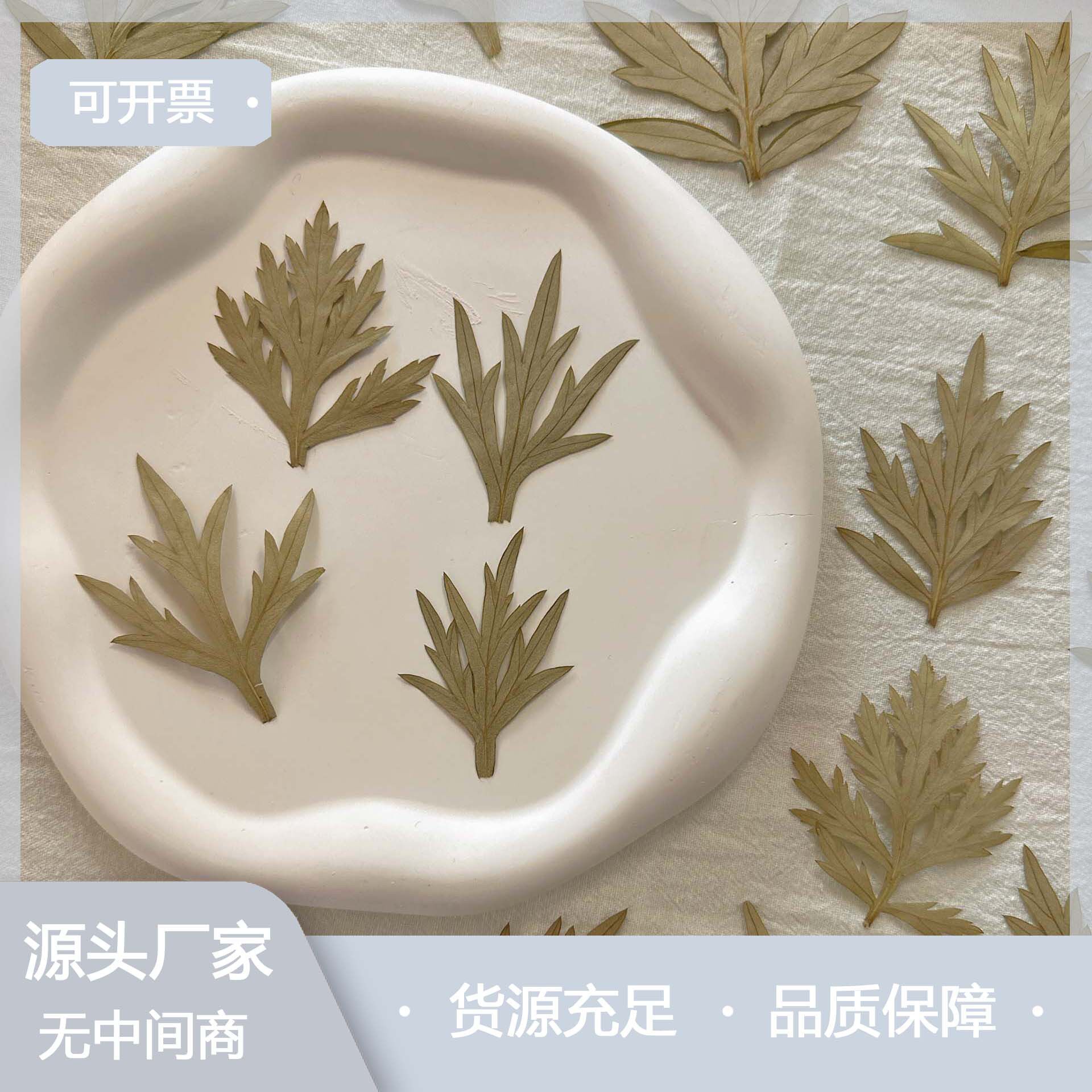 蒿子叶压花材料包幼儿小学生手工树叶贴画植物标本干花手机壳书签