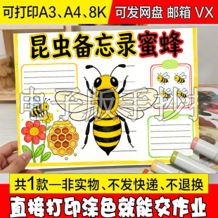 A51 自然笔记观察动物生长知识儿童画电 蜜蜂昆虫备忘录手抄报模版