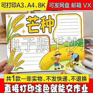 习俗介绍手抄报4K线稿A3A4 中小学生节气芒种手抄报模板电子版