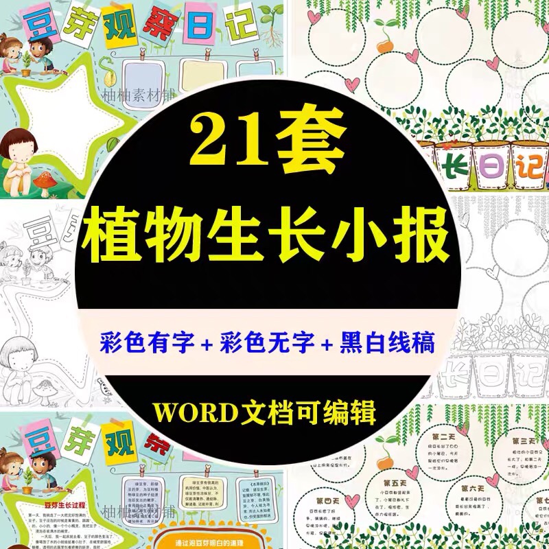 植物生长小报手抄报豆芽凤仙花多肉观察日记word电子模板黑白线稿