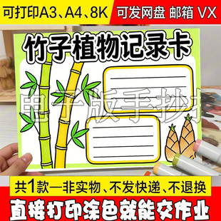 A46 关于竹子植物记录名片卡手抄报模板生长观察自然笔记黑白线稿