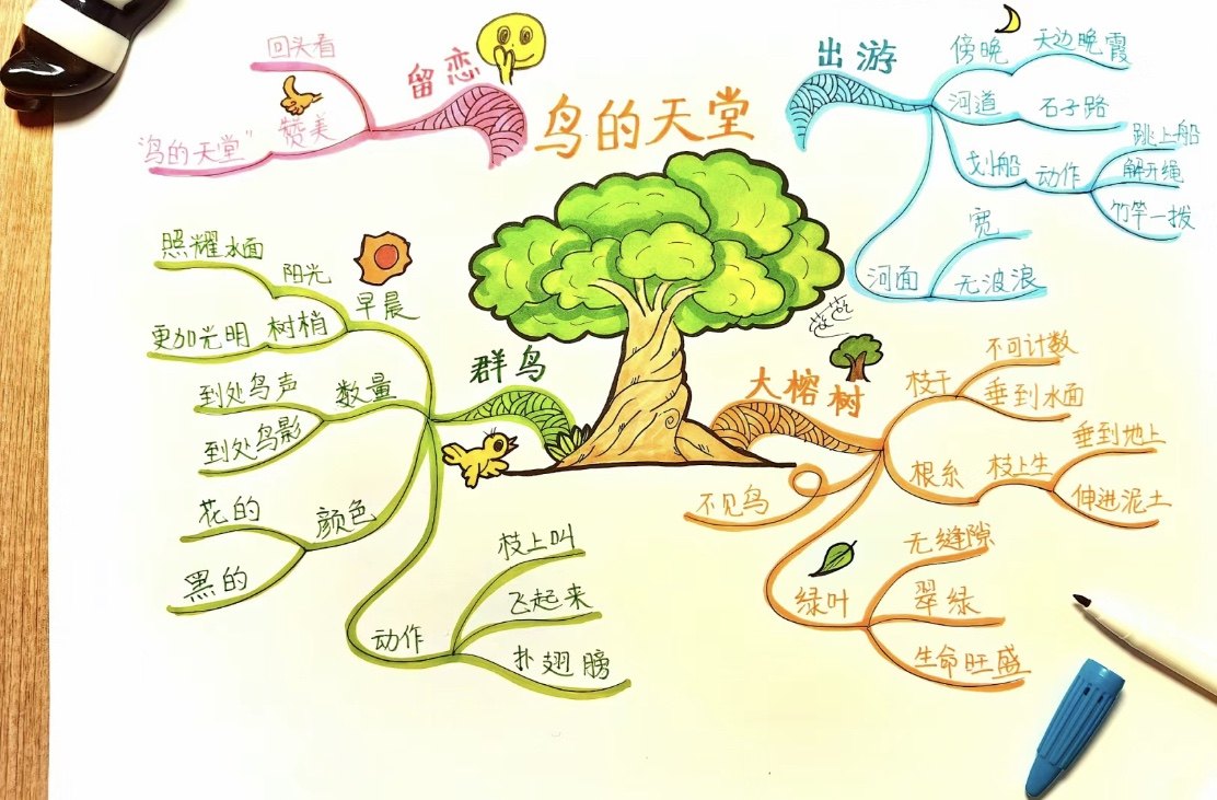 鸟的天堂思维导图手抄报小报模板电子版小学关于主题打印图片线稿
