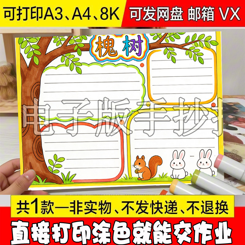植物记录卡槐树手抄报线稿涂色植物朋友自然笔记A4/A3/8K电子小报