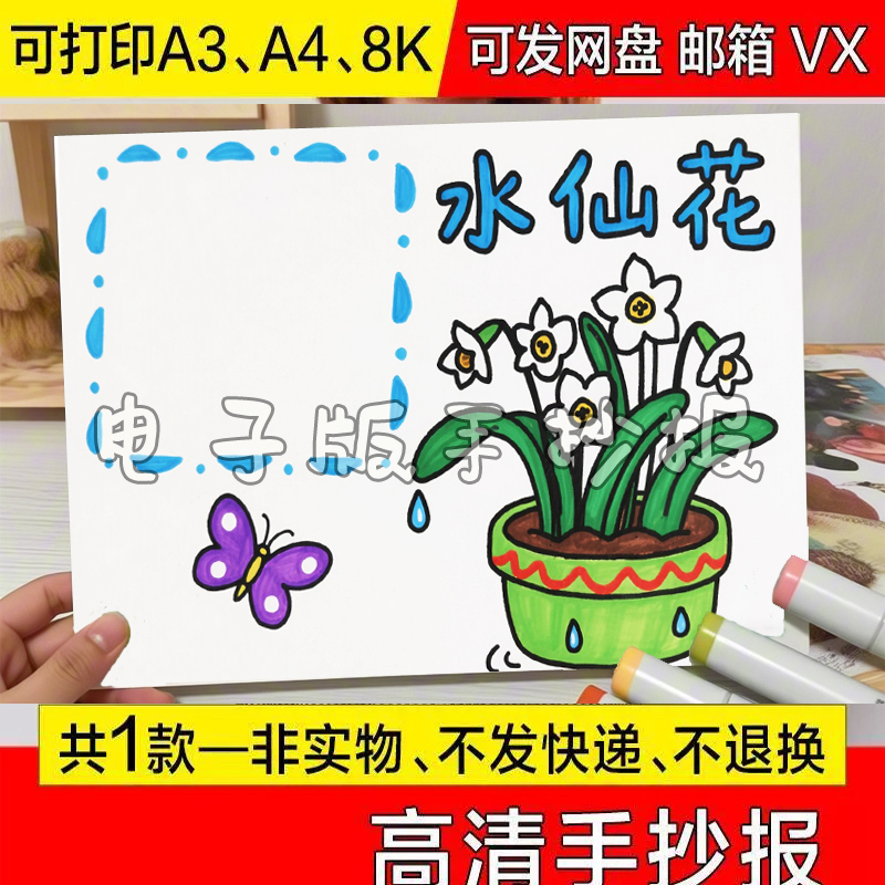 自然观察笔记水仙花手抄报模板小报横版线稿绘画生长过程记录小学