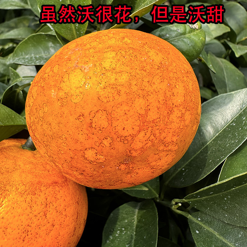 广西武鸣花沃柑10斤新鲜水果当季整箱正宗礼盒现摘现发长得丑柑橘