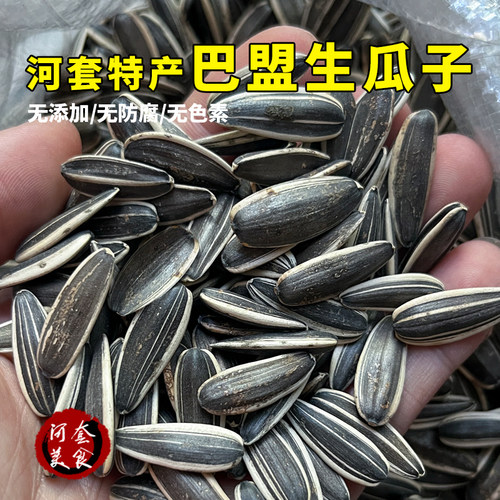 天然纯正巴盟农村未加工葵花籽食用精选河套生瓜子当年瓜子向日葵