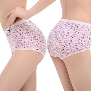 头女0108 印花女士精梳棉全棉抗菌三角裤 4条ab内裤 女纯棉高腰大码