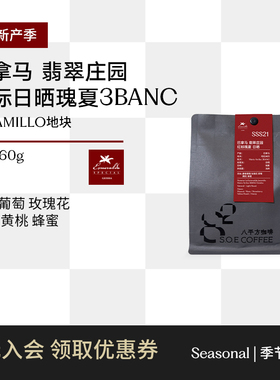 八平方咖啡 红标瑰夏日晒3BNAC巴拿马翡翠庄园ELVELO手冲咖啡豆