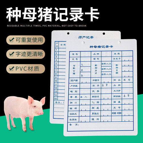加厚档案卡防水母猪包邮