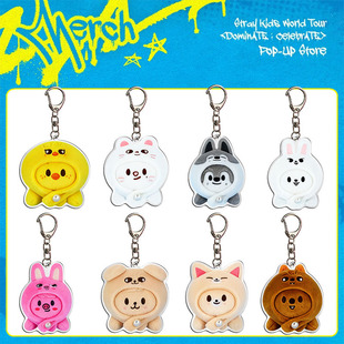 Kids 流浪儿童 世巡快闪亚克力钥匙扣 玩偶 周边自制 挂件 Stray