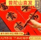 普陀山手写对联定制春联2026过年婚庆乔迁新居结婚大门喜联元 宵节