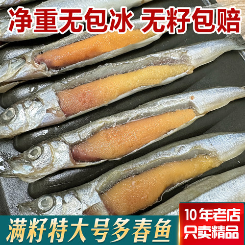 高品质多春鱼满籽特大号新鲜冷冻