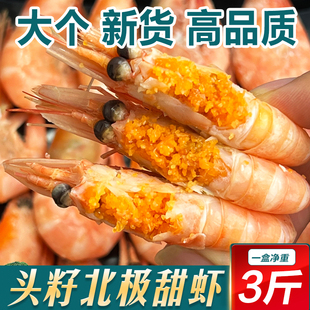 北极甜虾头籽甜虾北极熊熟冻即食海虾刺身虾大号冷冻海鲜3斤整箱