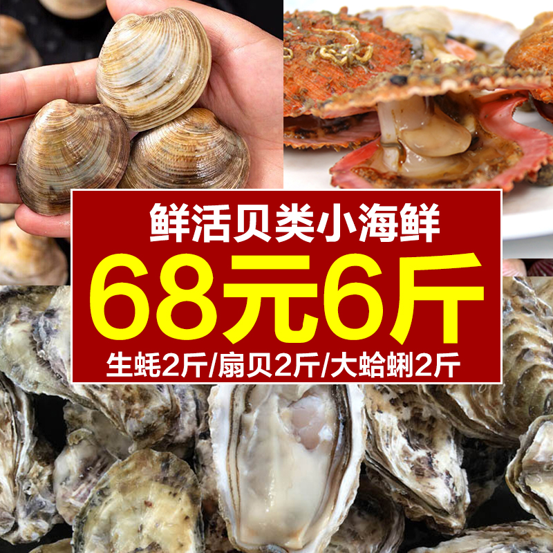 鲜活组合套餐扇贝食材捞汁小海鲜