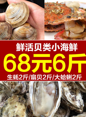 鲜活组合套餐扇贝食材捞汁小海鲜