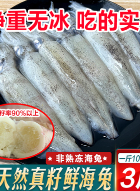 满籽海兔子带籽新鲜籽乌鲜活冷冻满膏笔管鱼墨鱼仔鱿鱼海鲜水产