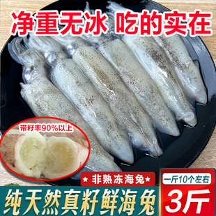 满籽海兔子带籽新鲜籽乌鲜活冷冻满膏笔管鱼墨鱼仔鱿鱼海鲜水产