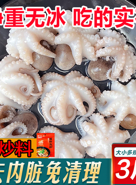 新鲜八爪鱼鲜活冷冻小章鱼迷你短腿八抓鱼大爆头去内脏捞汁小海鲜