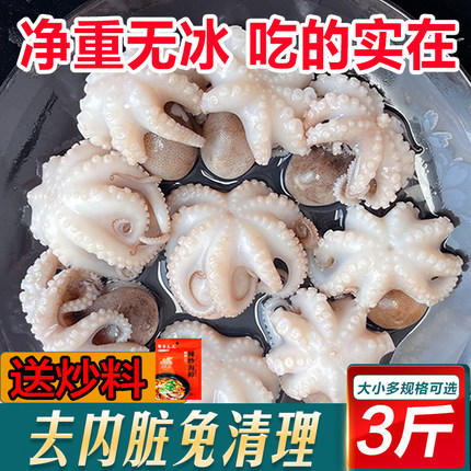 新鲜八爪鱼鲜活冷冻小章鱼迷你短腿八抓鱼大爆头去内脏捞汁小海鲜
