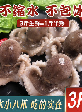 鲜活熟冻去内脏迷你八爪鱼
